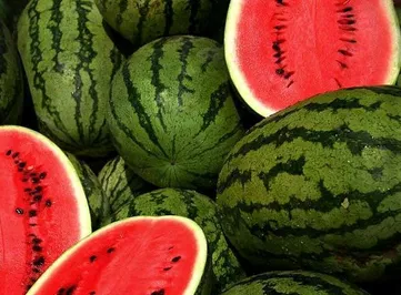 На юге собрали рекордный урожай арбузов и дынь