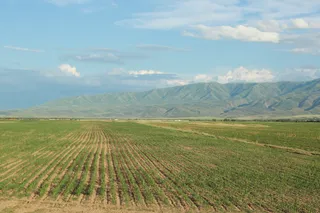 Фото: Руслан Пряников