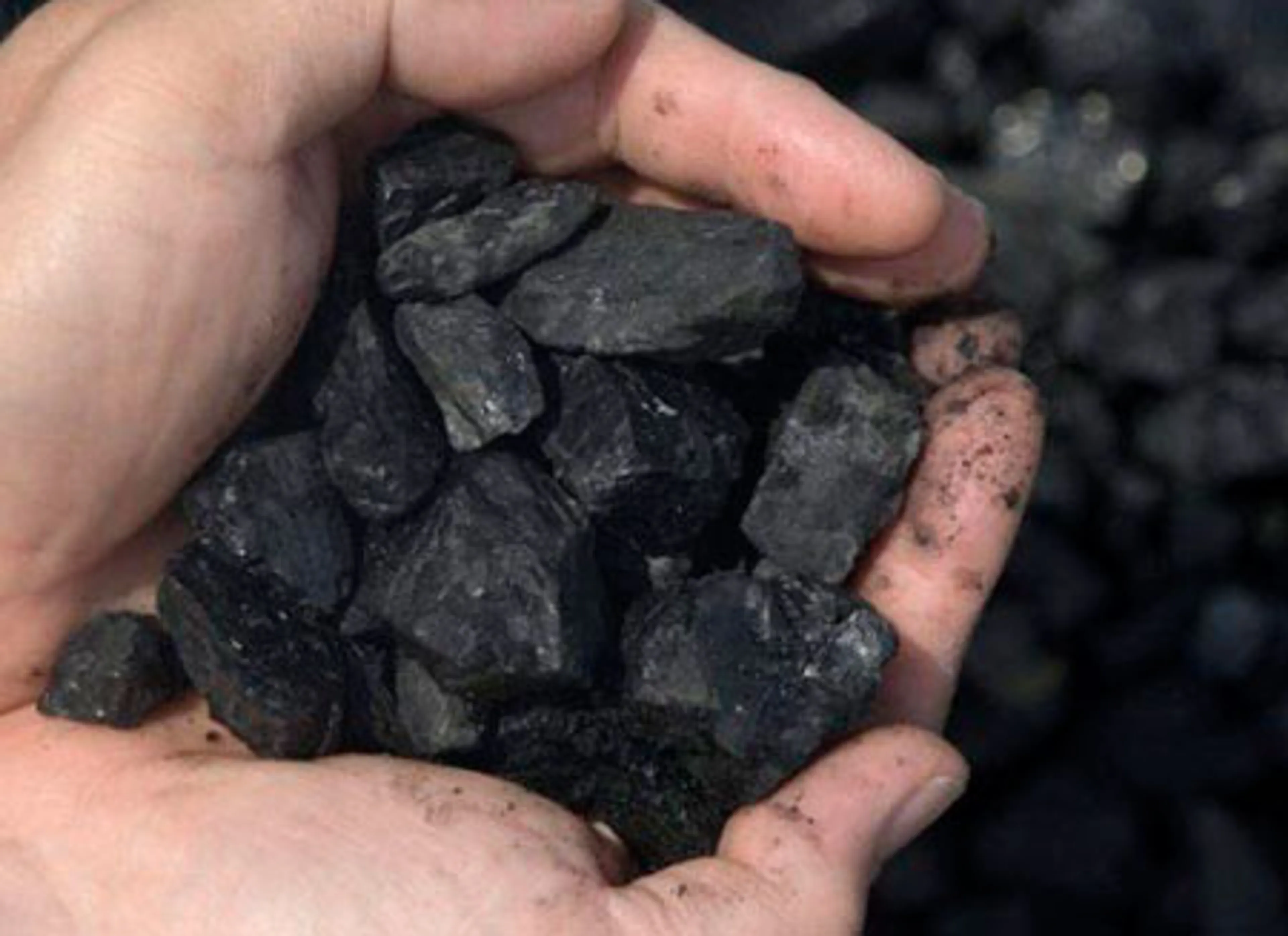 Капитал - Крупнейший экспортер угля потерял $8 млрд.