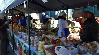 Капитал - Южные регионы привезли в Астану около 700 тонн продуктов