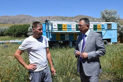 В Южно-Казахстанской области создают кооператив пчеловодов