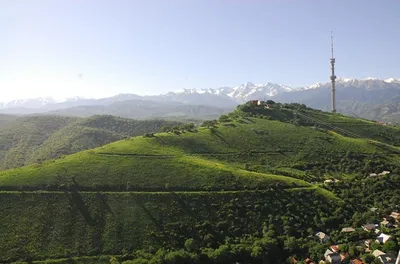 ​Вопрос тысячелетия для Алматы