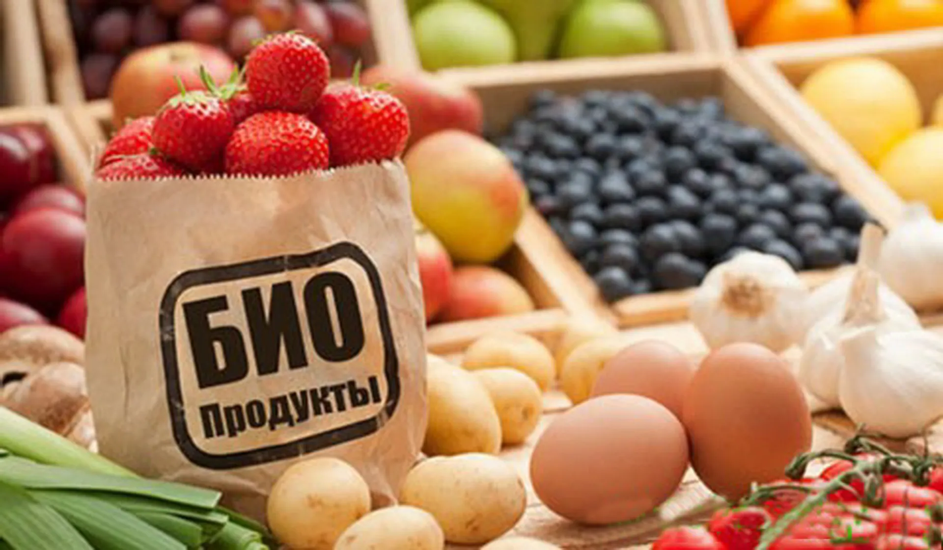 Капитал - Казахстанская органическая продукция будет отмечена особым знаком