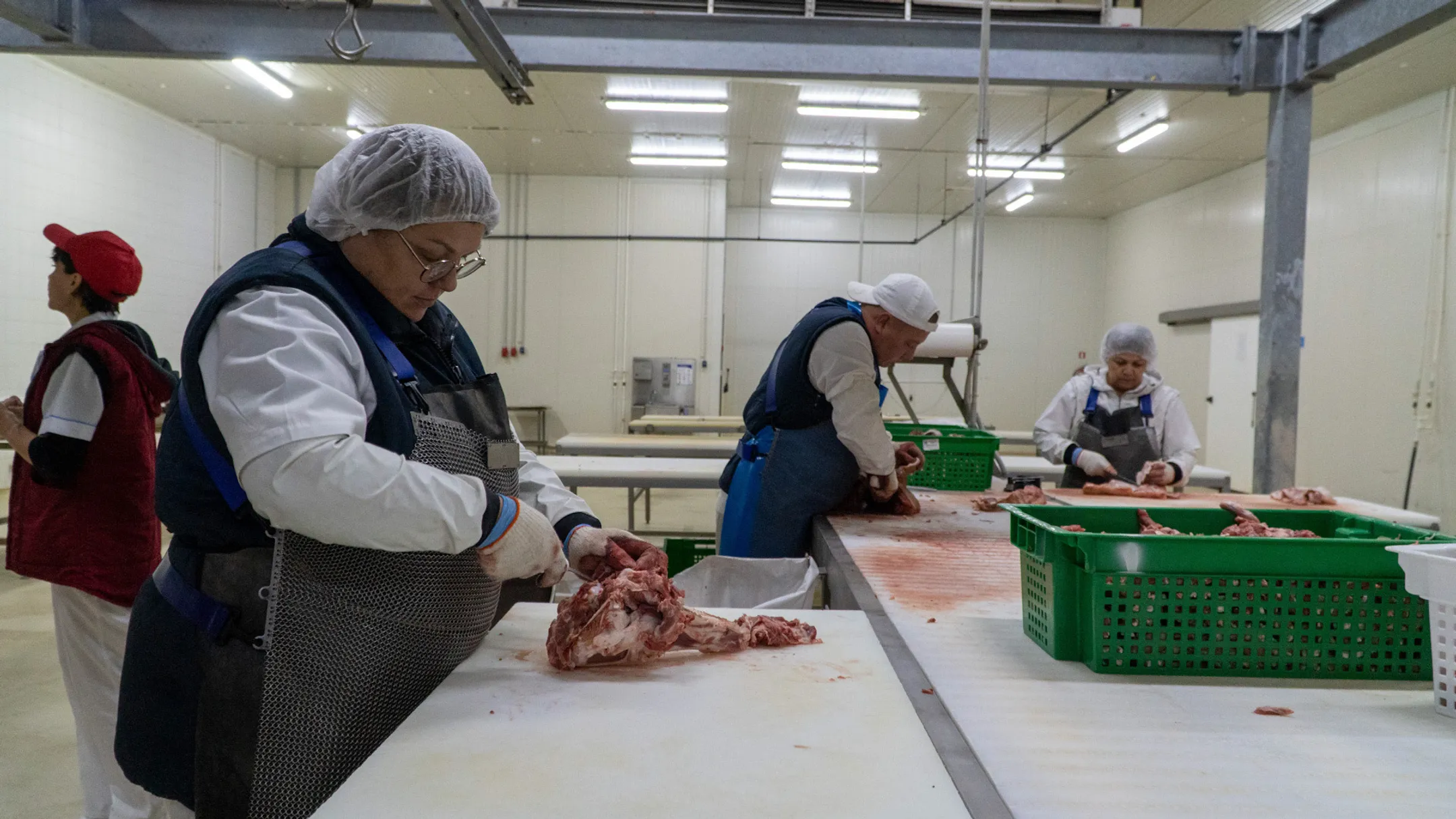 В СКО создают центр по переработке и экспорту продукции в Китай - Image Kapital.kz