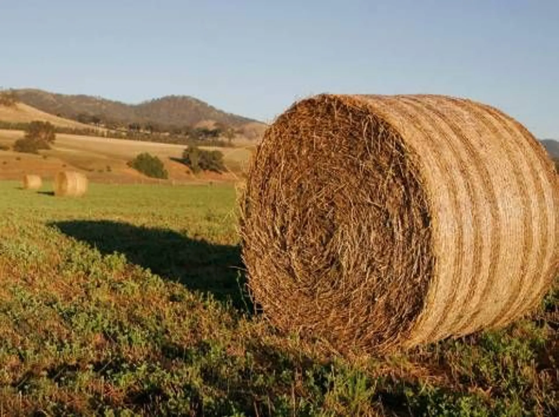 Капитал - КТЖ продлил скидки на перевозку сена в пострадавшие от засухи регионы