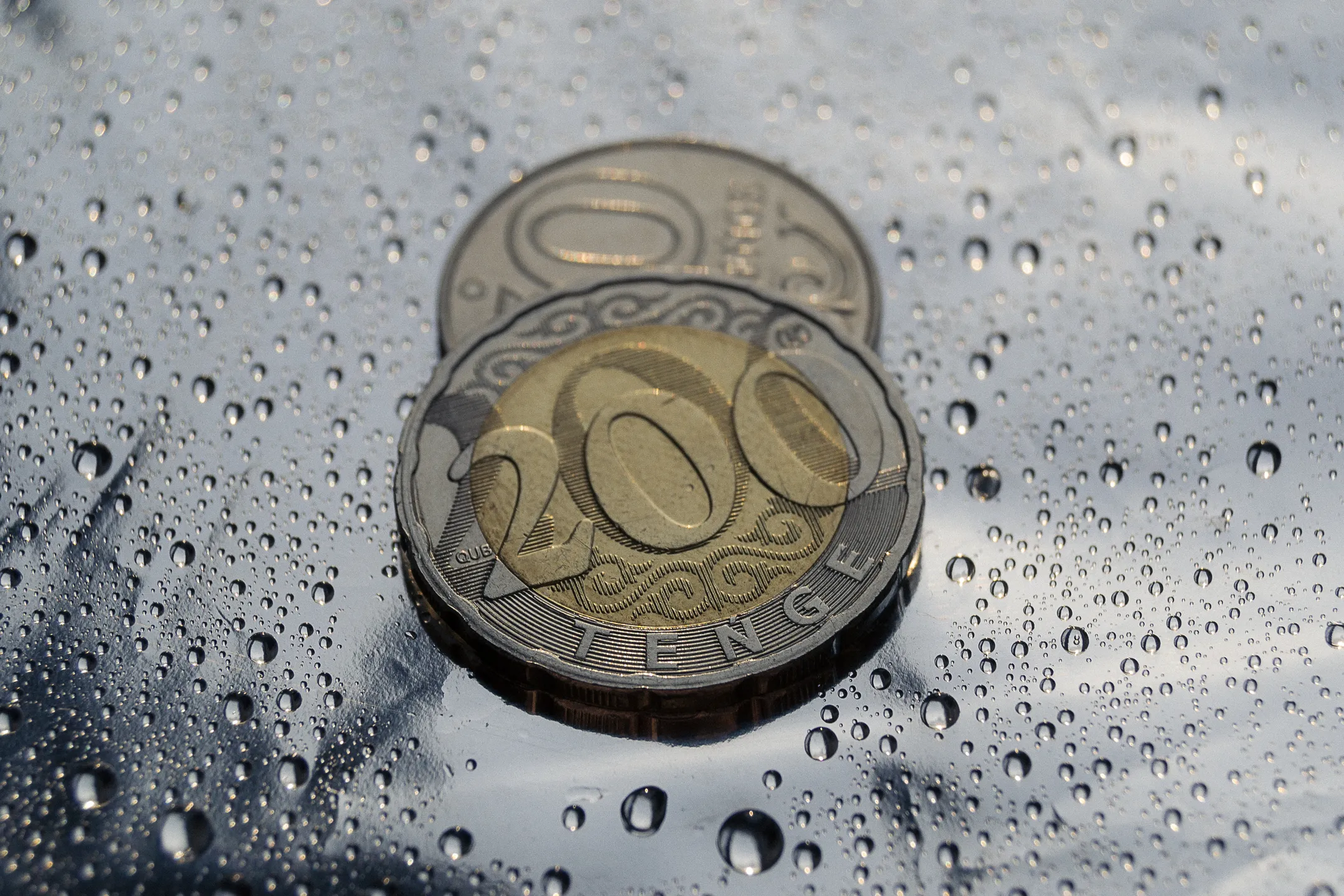 Фото: Валерия Змейкова