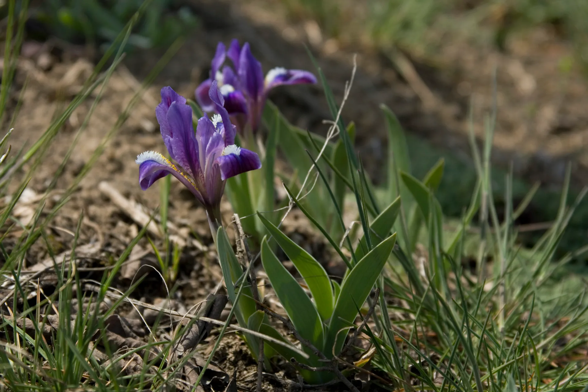 Капитал - 5 малоизвестных, но интересных для туристов мест в ЮКО