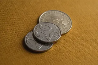 Фото: Валерия Змейкова