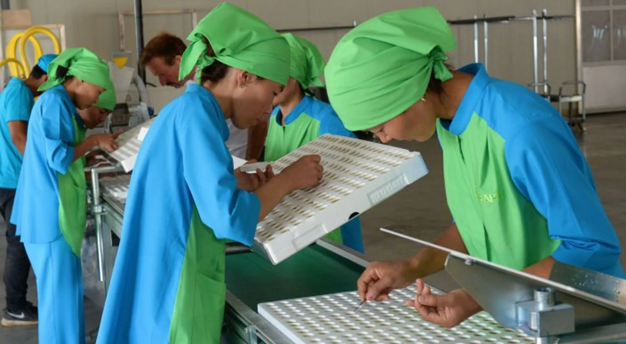 Какие предприятия запустят в Индустриальной зоне Алматы - Image Kapital.kz