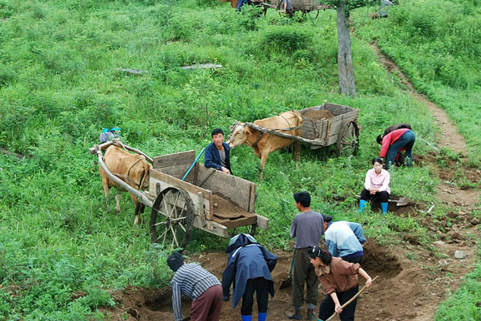 Капитал - КНДР хочет арендовать земли Дальнего Востока