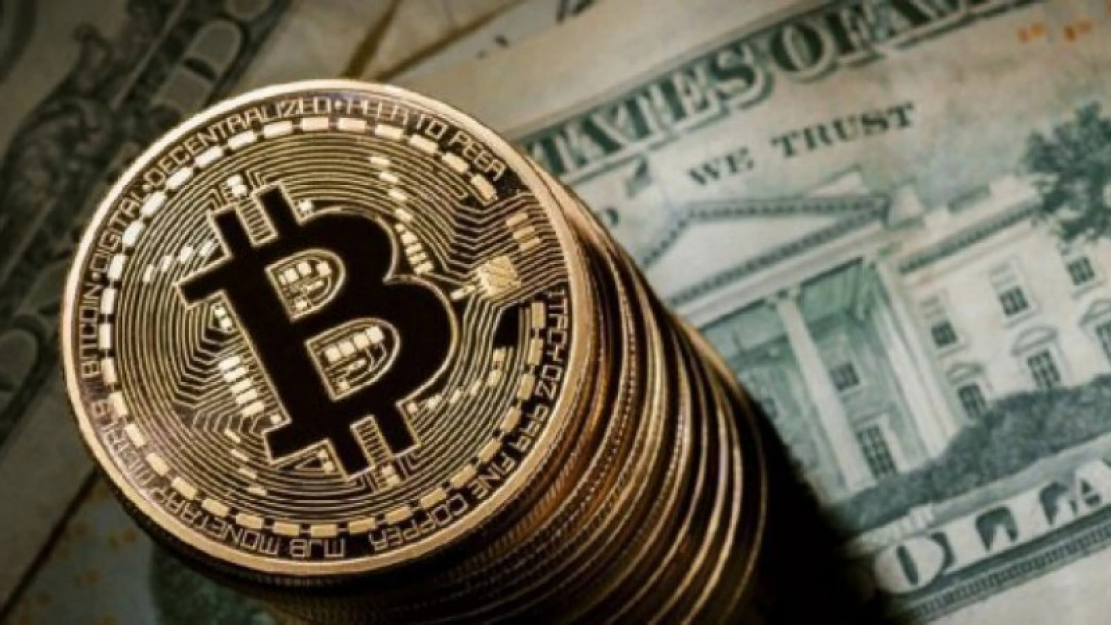 Капитал - Илон Маск и компания SpaceX не планируют продавать биткоины