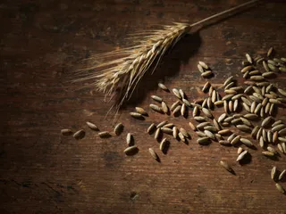 Капитал - Зерновые миражи