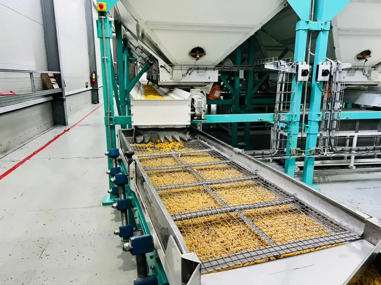 Капитал - На создание продовольственного пояса вокруг столицы направят 625 млрд тенге