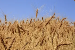 Фото: Валерия Змейкова 