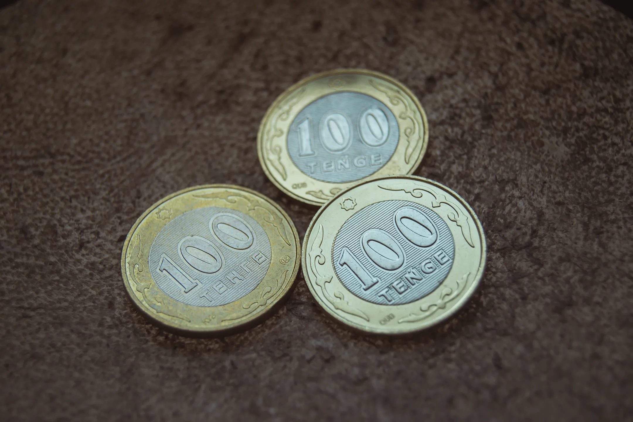 Фото: Валерия Змейкова