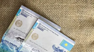 Фото: Валерия Змейкова