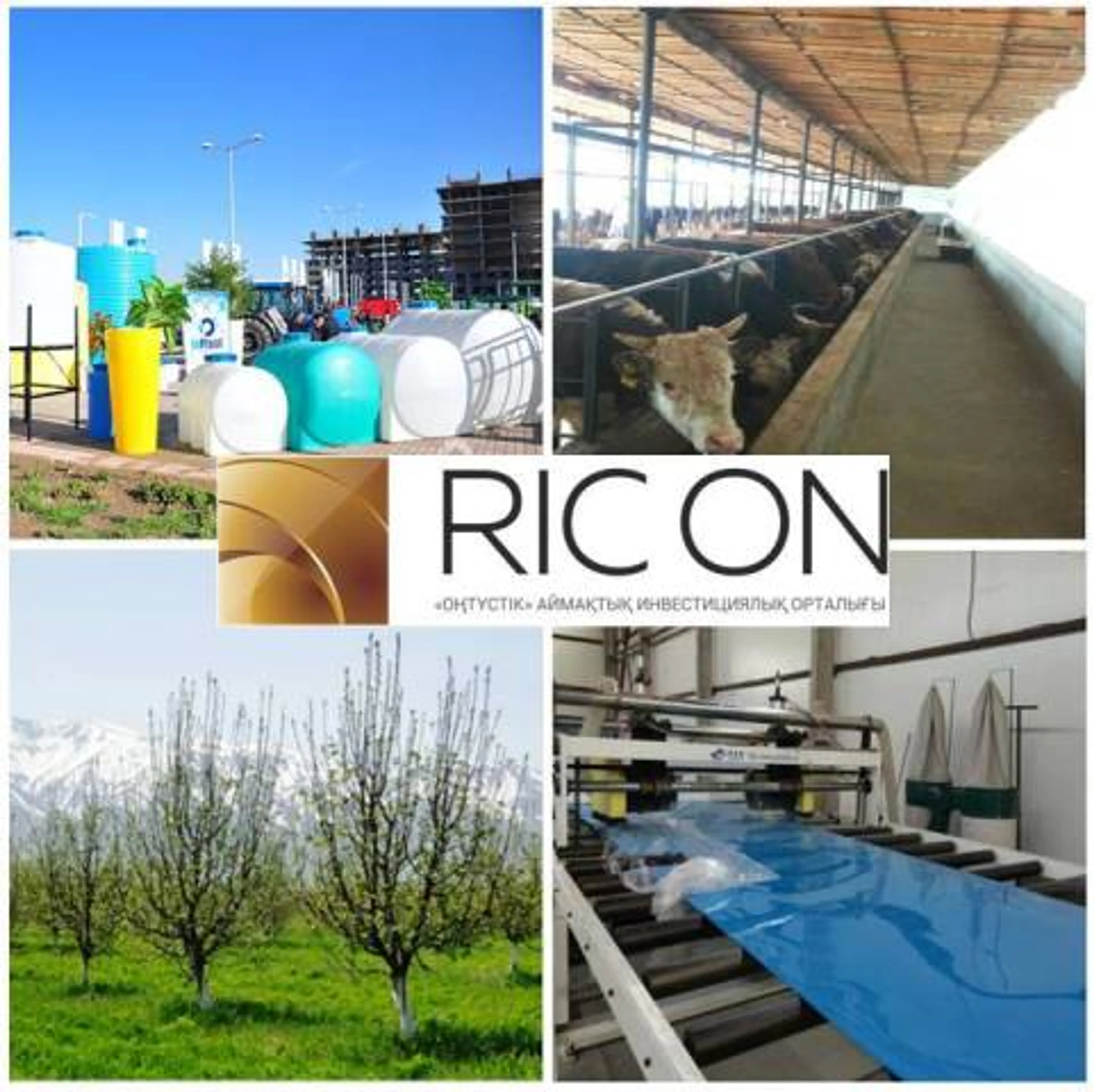 Капитал - РИЦ «Онтустик» за полгода профинансировал около 2000 проектов