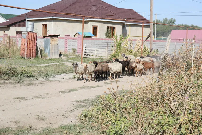 Фото: Руслан Пряников