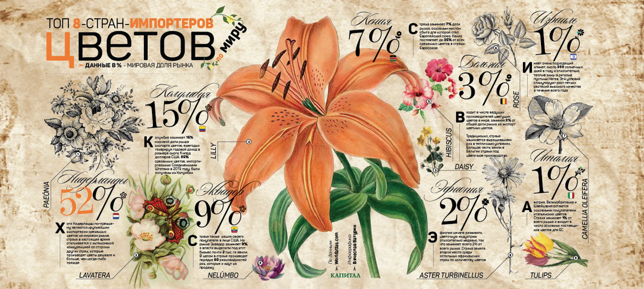 Как Эквадор и Колумбия отнимают долю на цветочном рынке у Нидерландов - Image Kapital.kz