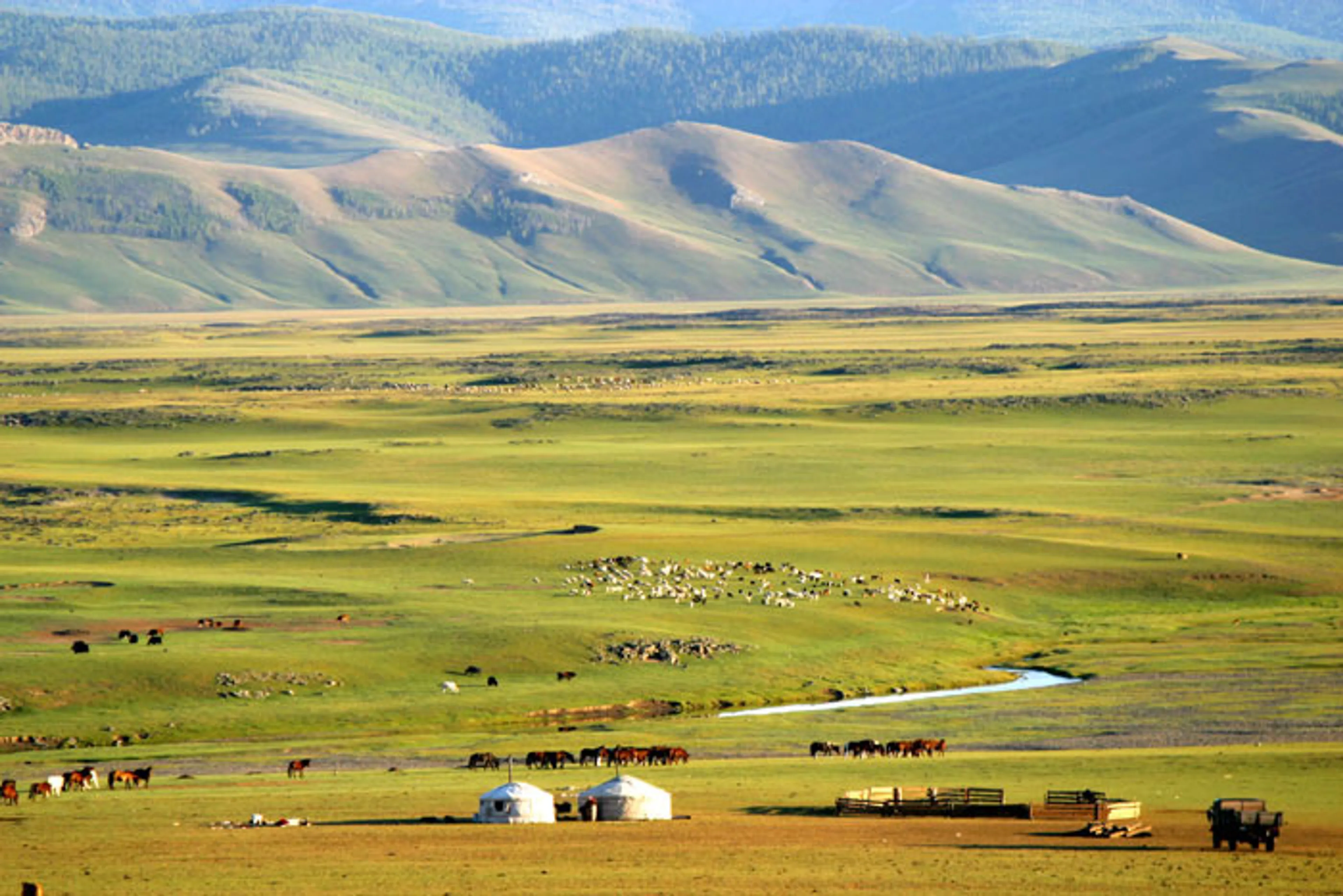 Капитал - Монголия становится новым хабом майнинга