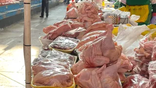 Фото: Валерия Змейкова