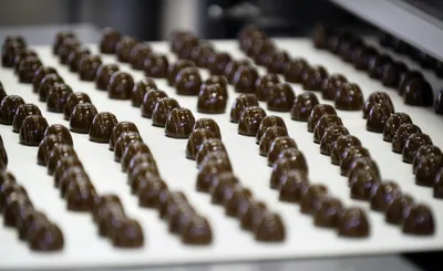 Срок ввода кондитерской фабрики в Костанайской области опять перенесли