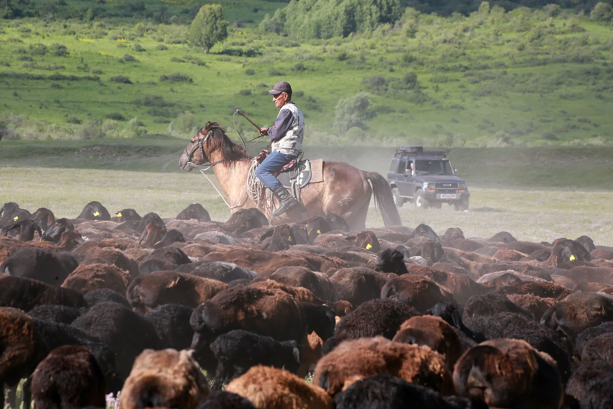 Приглашение пройти перепись получат 300 тысяч сельхозпроизводителей 