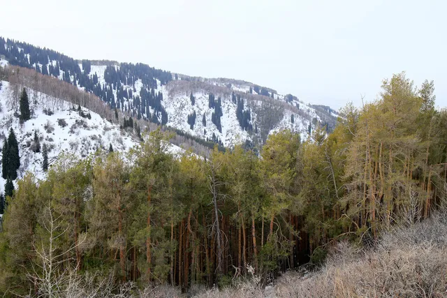 Фото: Руслан Пряников