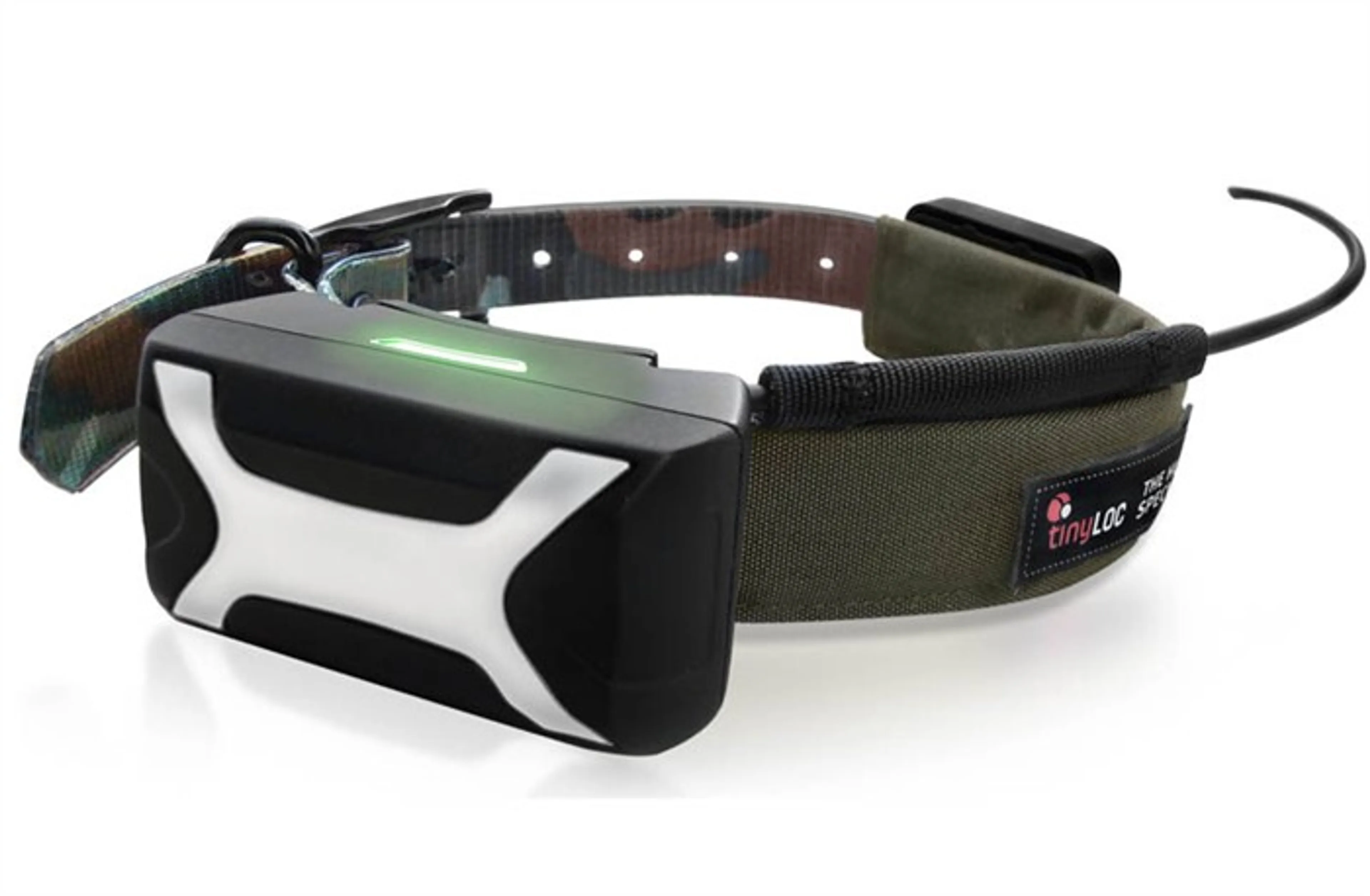 Капитал - На горных баранов в Кыргызстане одели GPS-ошейники