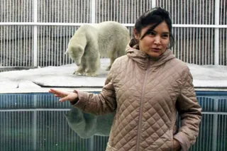 Капитал - В зоопарке Алматы сменился директор