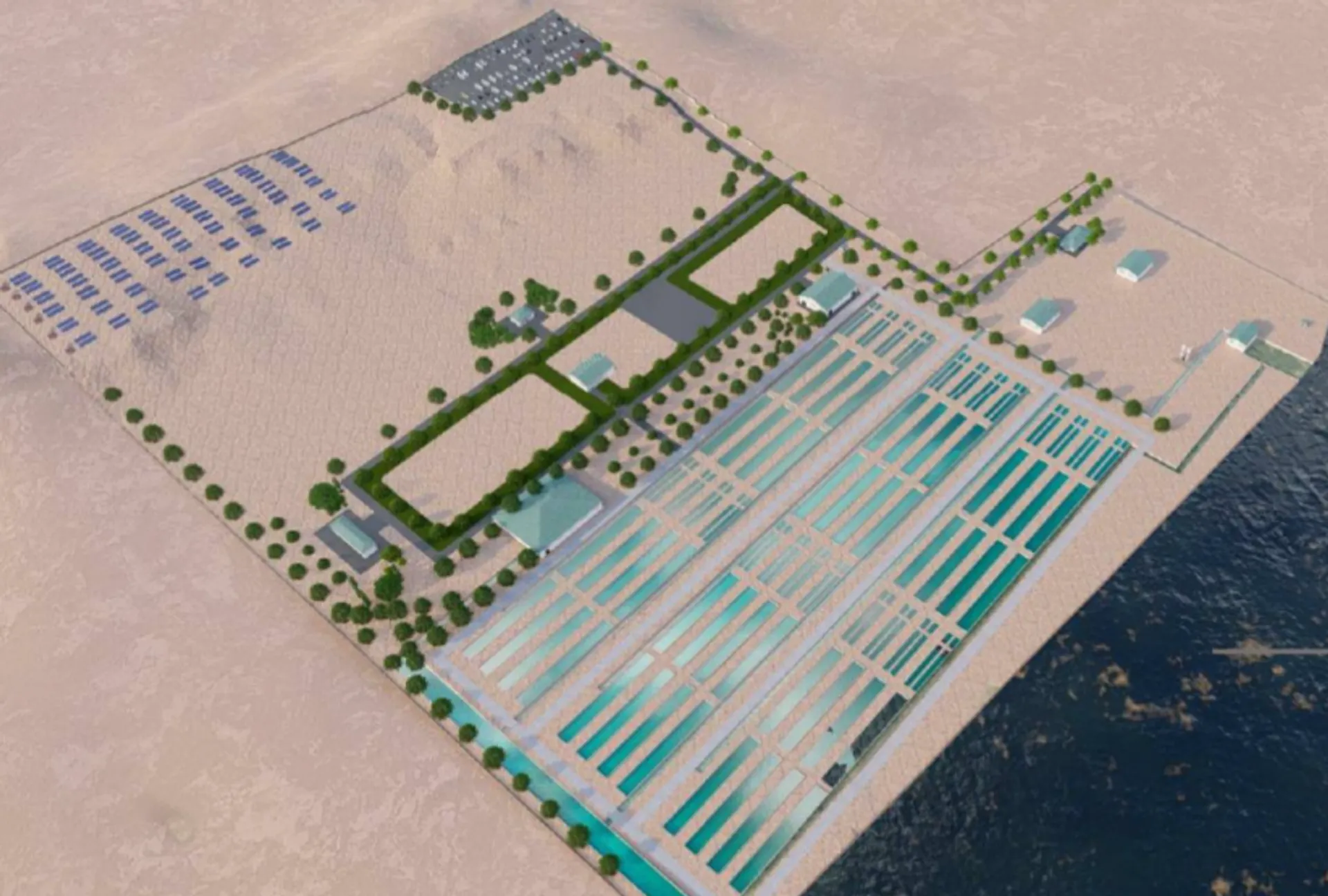 Фото: пресс-служба Мангистауской области 