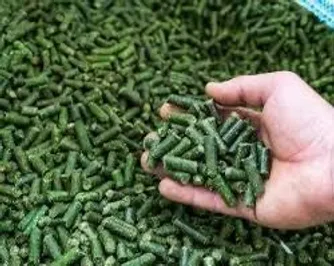 Фото: МСХ РК