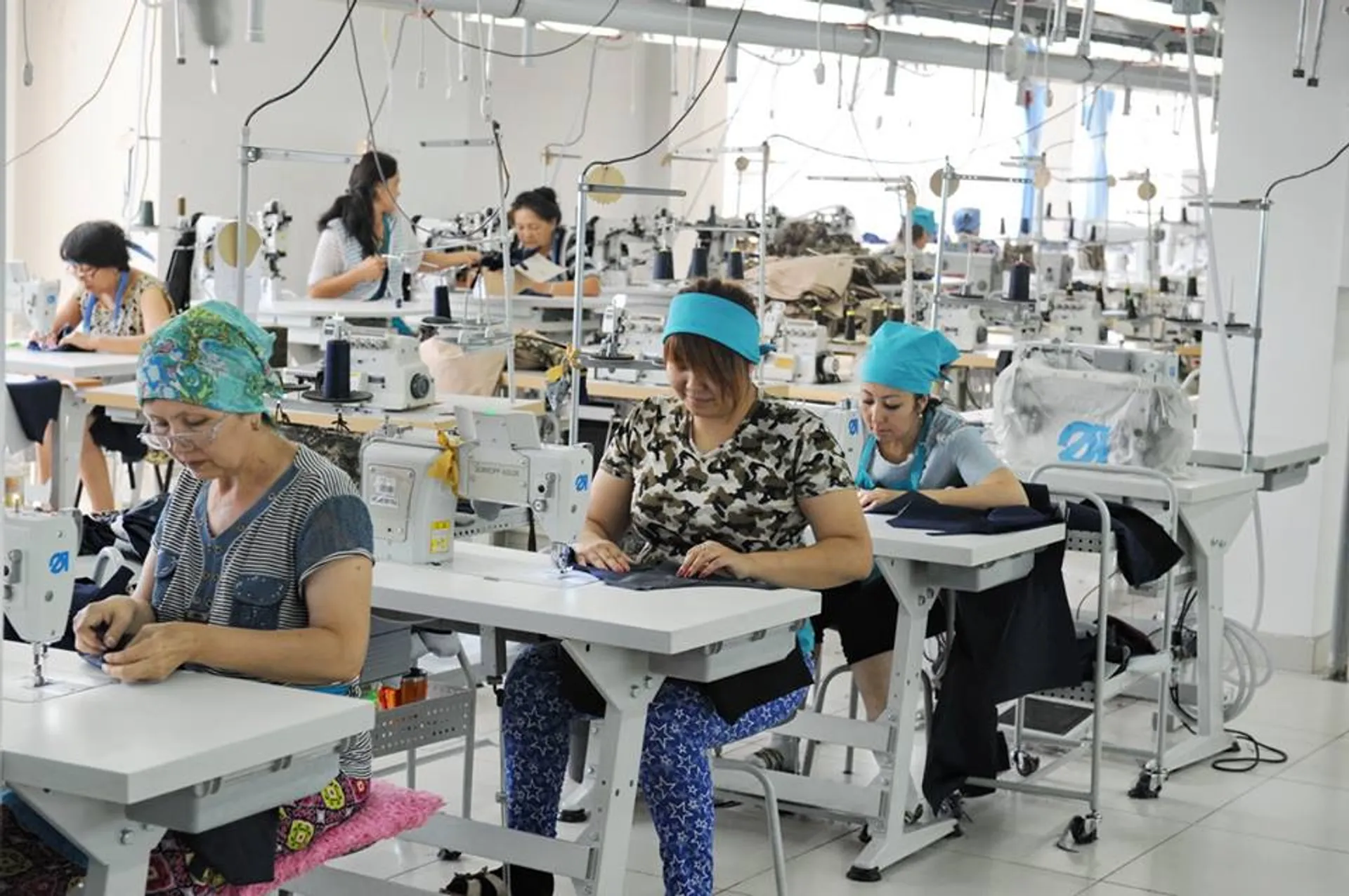 Капитал - На какую господдержку могут рассчитывать самозанятые