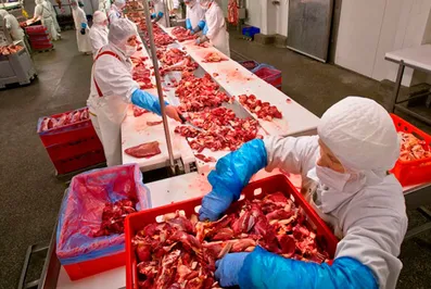 Программа экспорта мяса из РК требует полного пересмотра