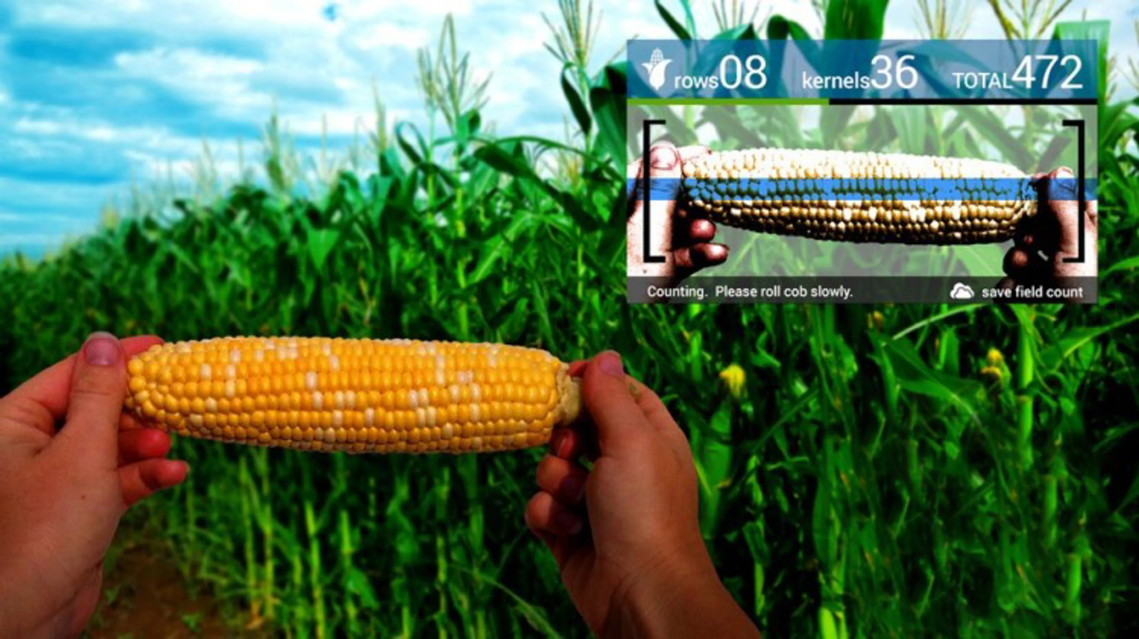 Капитал - Экономический эффект от цифровизации АПК составит 40 млрд тенге