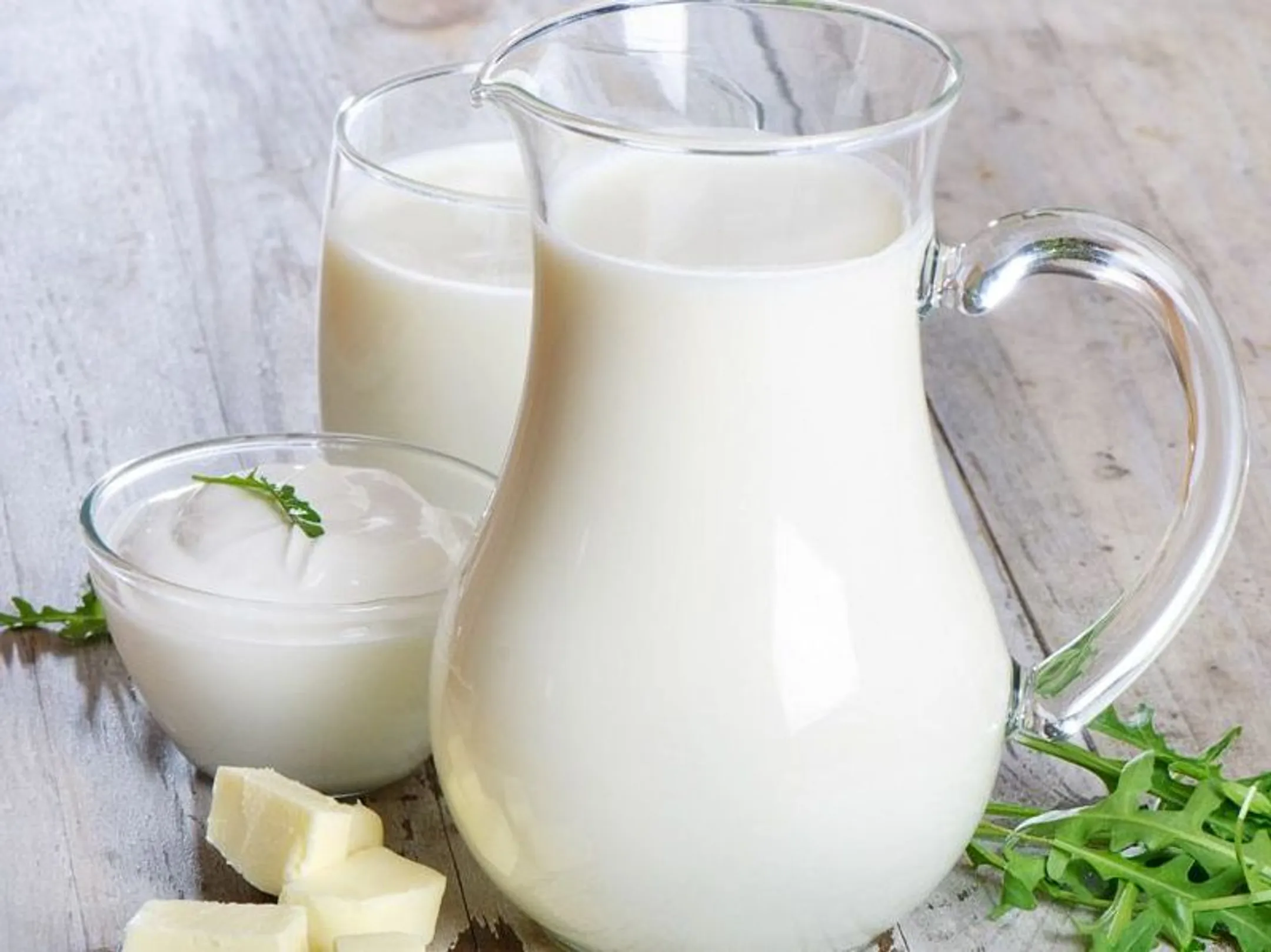 Кыргызские производители ищут пути на рынок РК - Image Kapital.kz