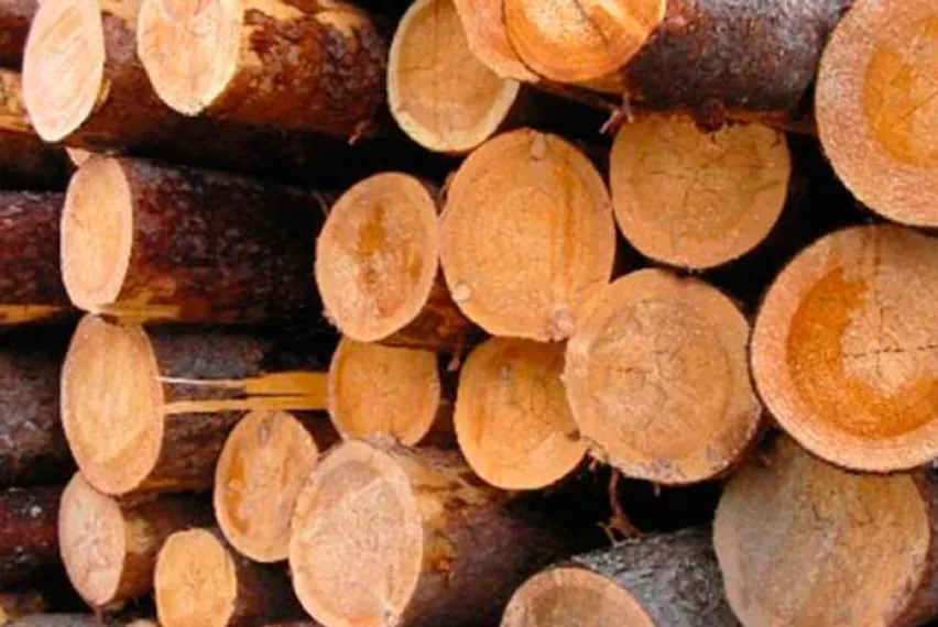 Капитал - Экспорт из РК подешевел, импорт подорожал