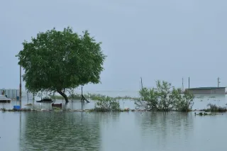 Капитал - Туркестан: в результате наводнения пострадали  620  жилых домов