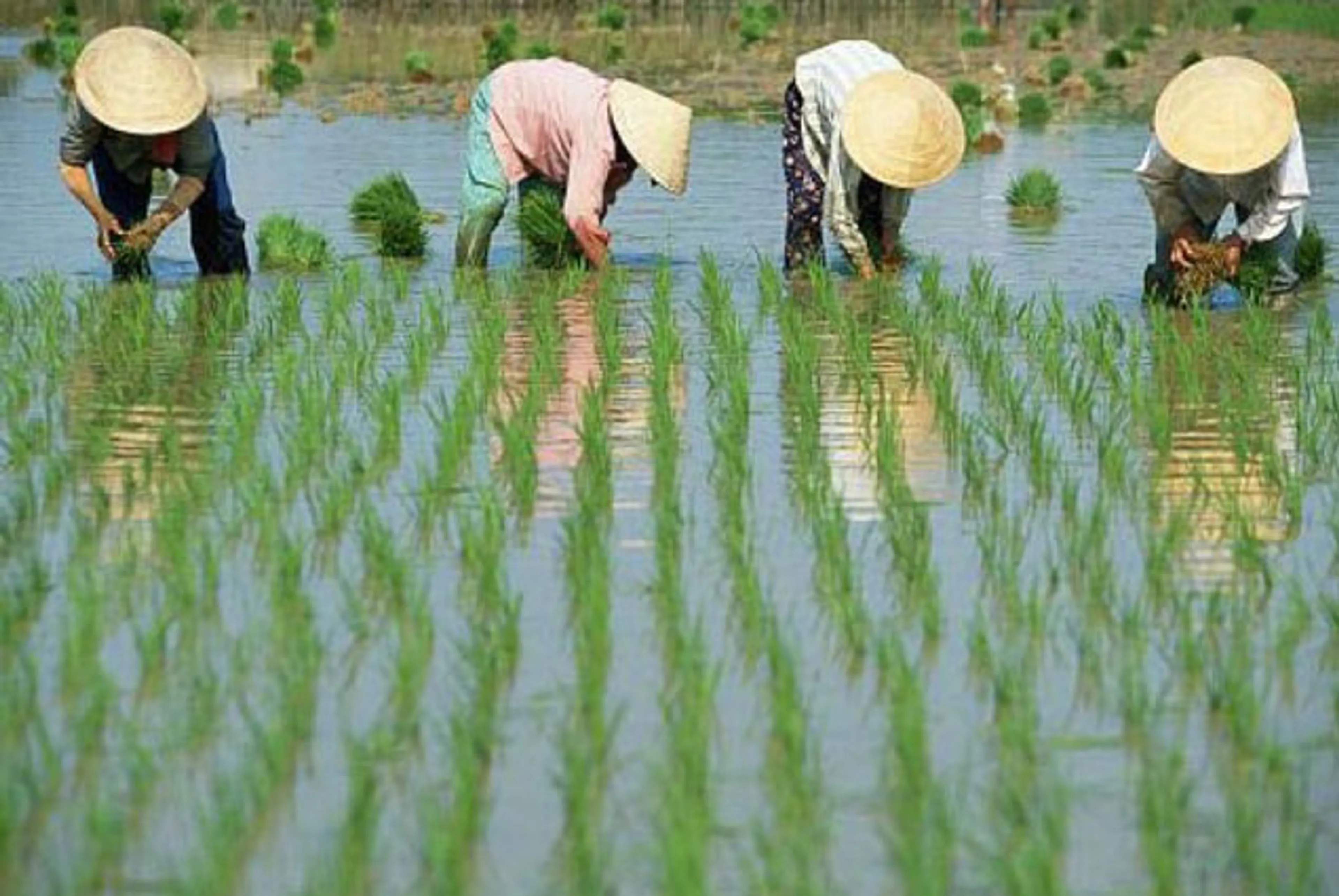 Капитал - В Пекине требуют широкомасштабного переселения китайцев в Забайкалье