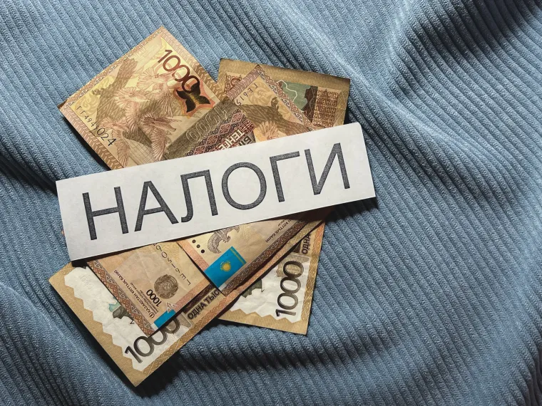 Фото: Валерия Змейкова 