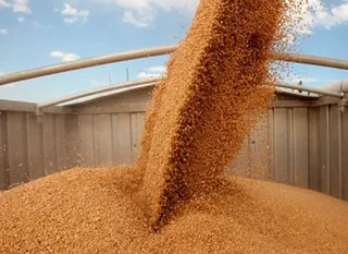 Капитал - 48 элеваторов не готовы к приему урожая