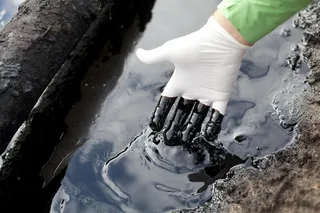 Капитал - СК «Евразия» выплатила 4,8 млн тенге после прорыва нефтепровода