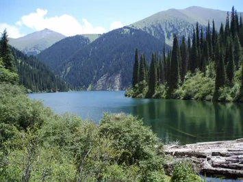 Туризм хотят развивать за счет налоговых льгот