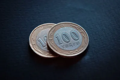 Фото: Валерия Змейкова