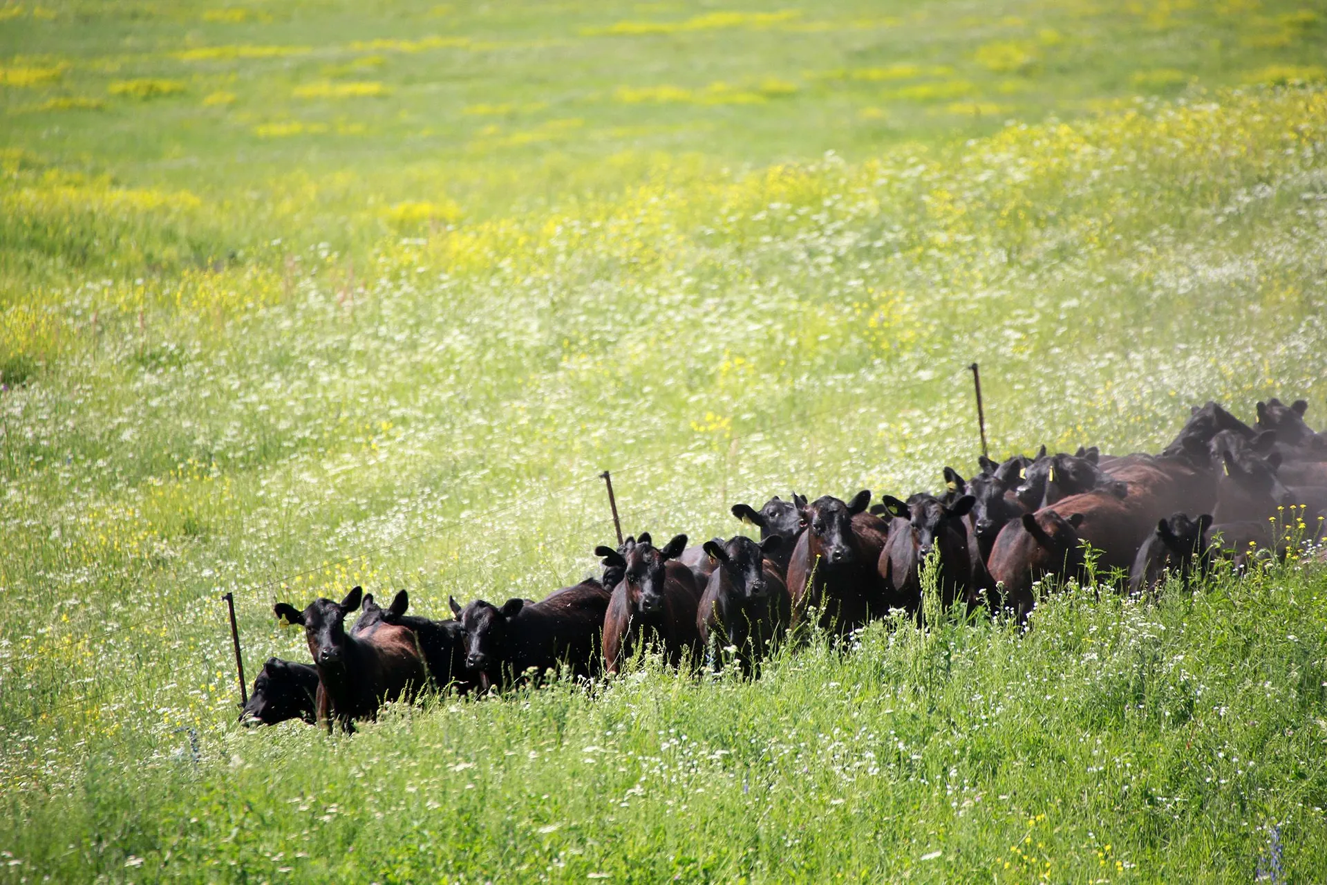 Фото Руслана Пряникова