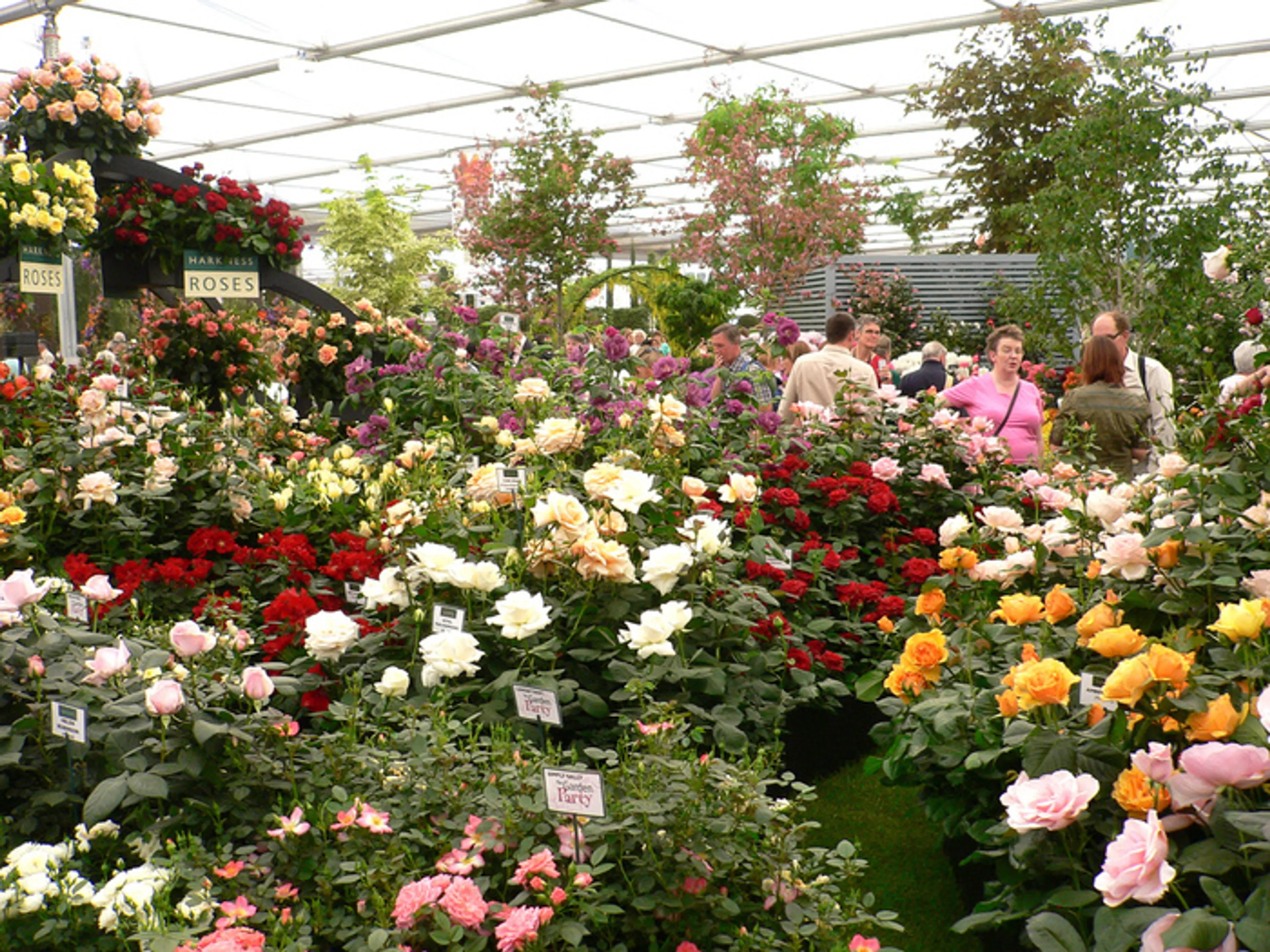 Капитал - В Астане открывается международная выставка цветов