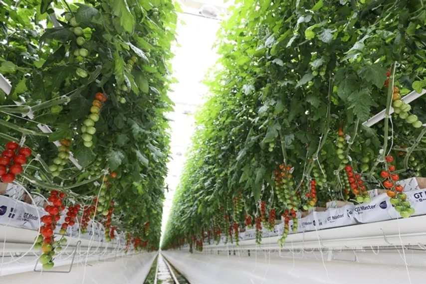 Капитал - Голландский инвестор рассказал об опыте работы в Казахстане