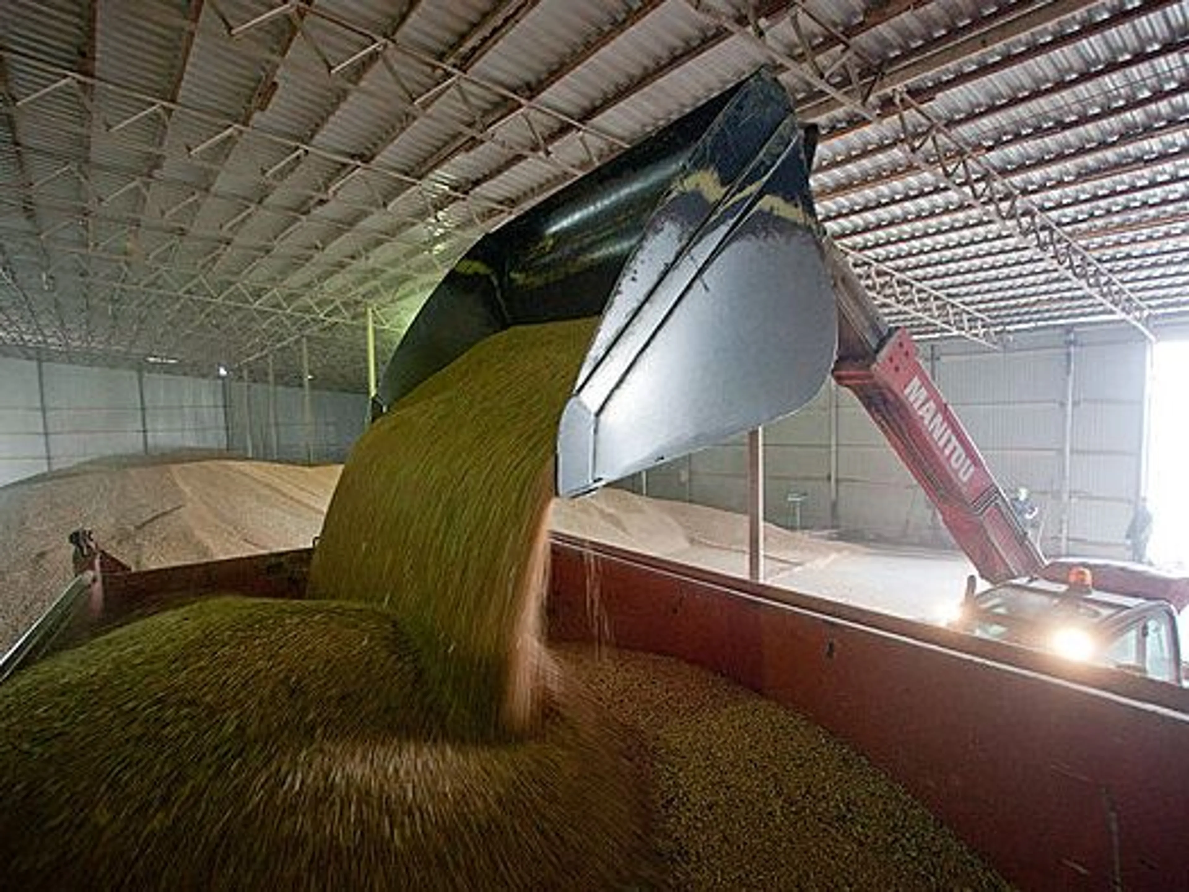 Капитал - Аграрии могут продавать пшеницу на бирже