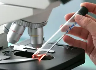 Капитал - Контроль из-за чумы на границе с Кыргызстаном снимут