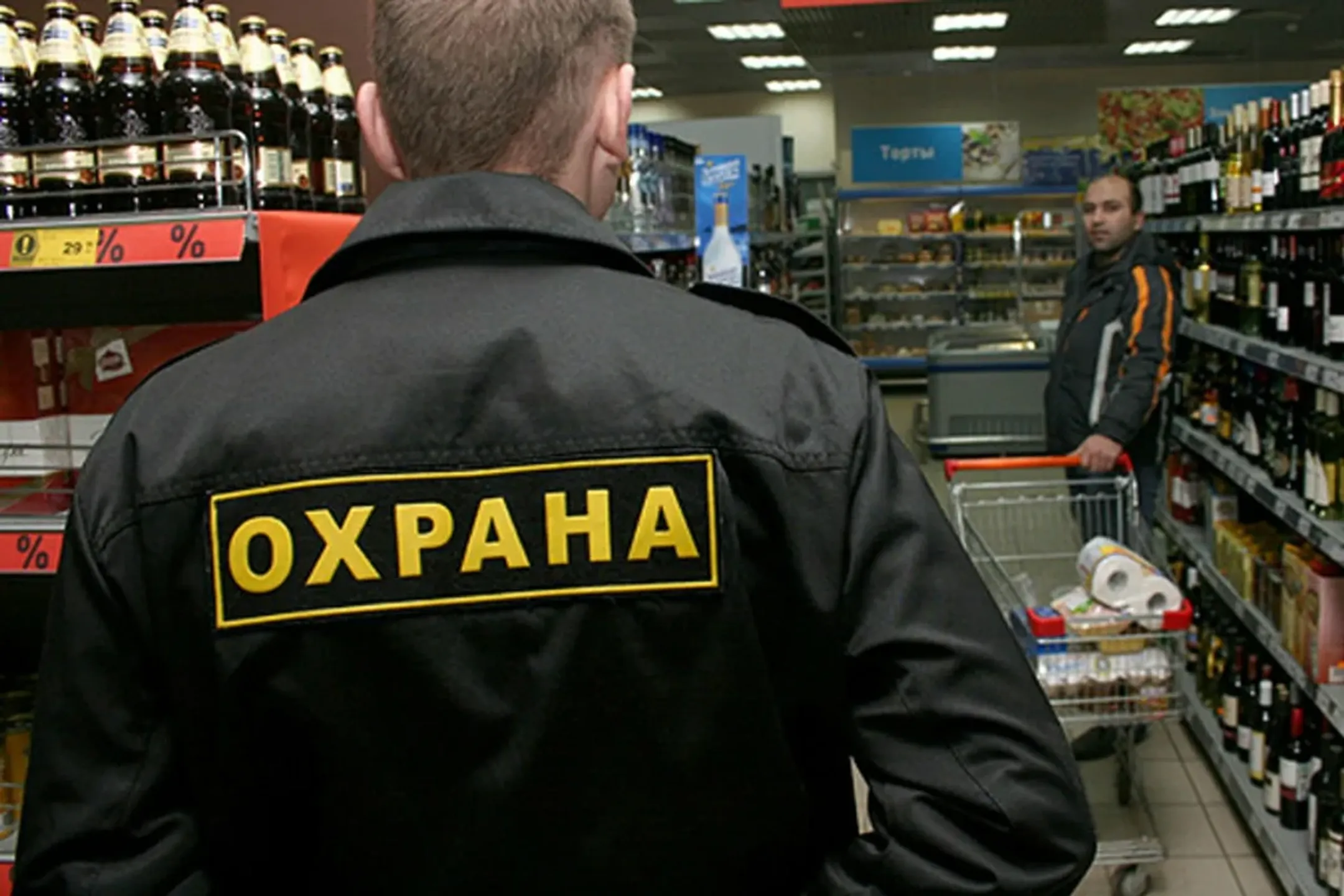 zen.yandex.ru